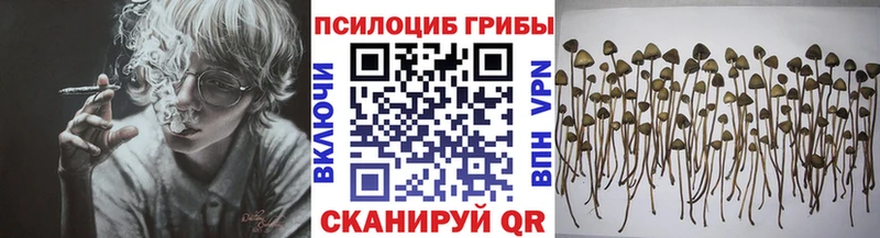 ОМГ ОМГ ссылки Наро-Фоминск Галлюциногенные грибы мухоморы