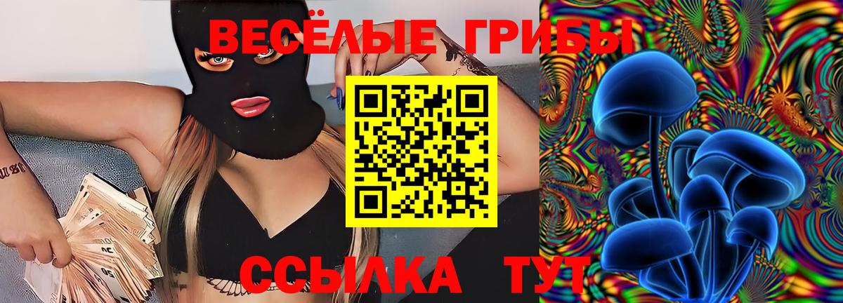 Псилоцибиновые грибы MAGIC MUSHROOMS  Вход с VPN  Наро-Фоминск 